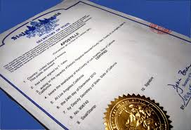 Fast & Reliable Apostille Services in Los Angeles – We Handle Everything for You!